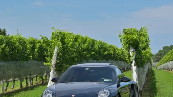 21ALDrally0815BDM_1221_S