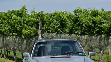 21ALDrally0815BDM_1225_S