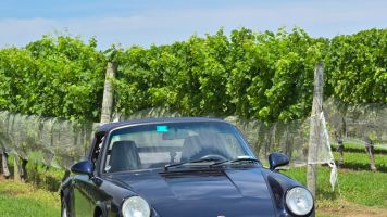 21ALDrally0815BDM_1226_S