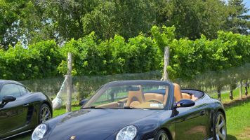 81ALDrally0815BDM_1231_S